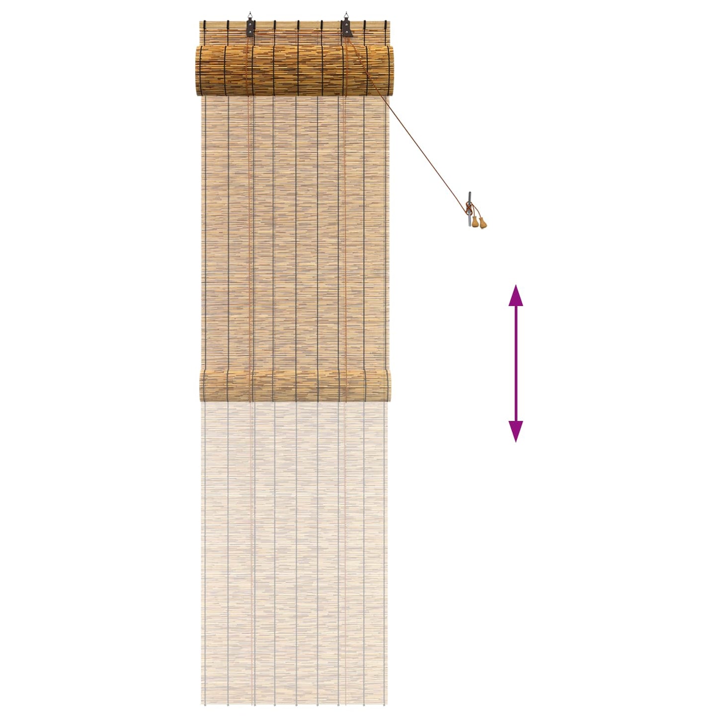 Roletta Barna 60 x 220 cm Nád