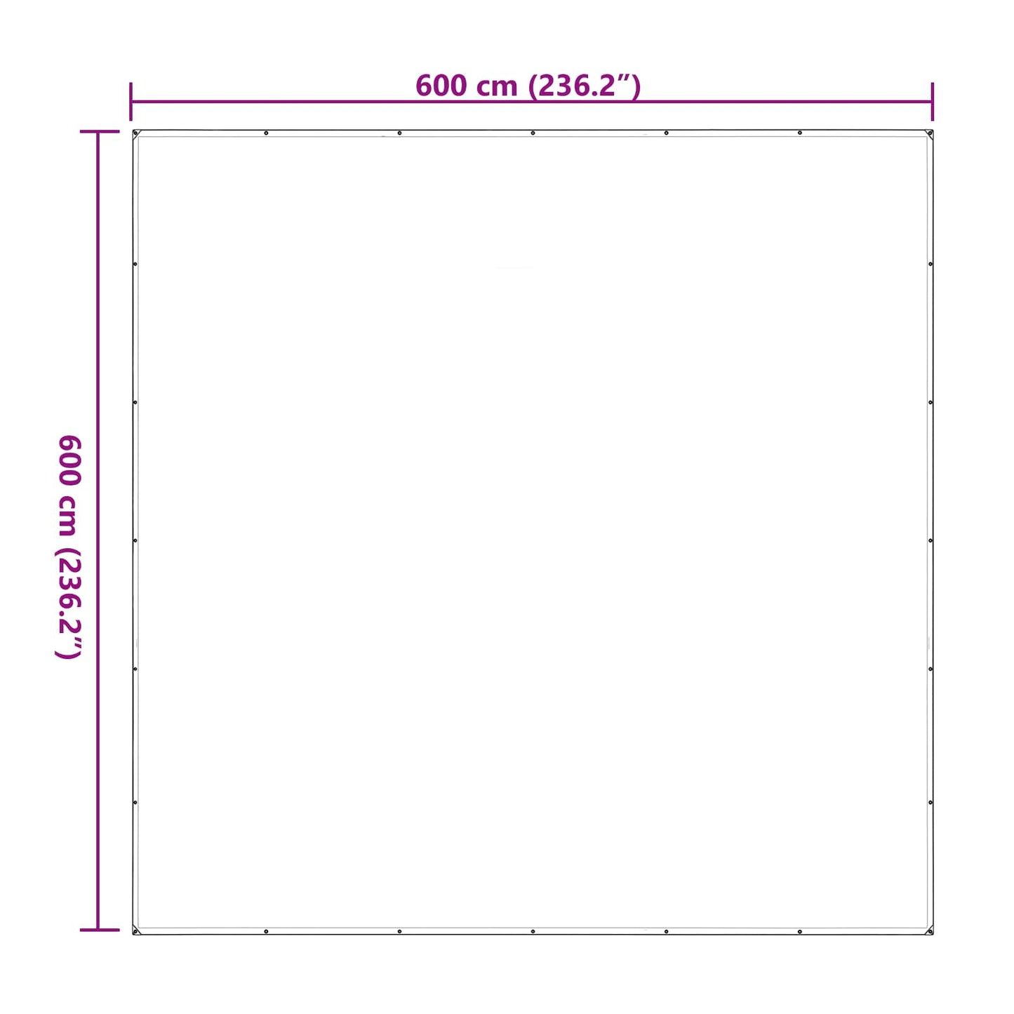 Növényfedező Átlátszó 6 x 6 m PE