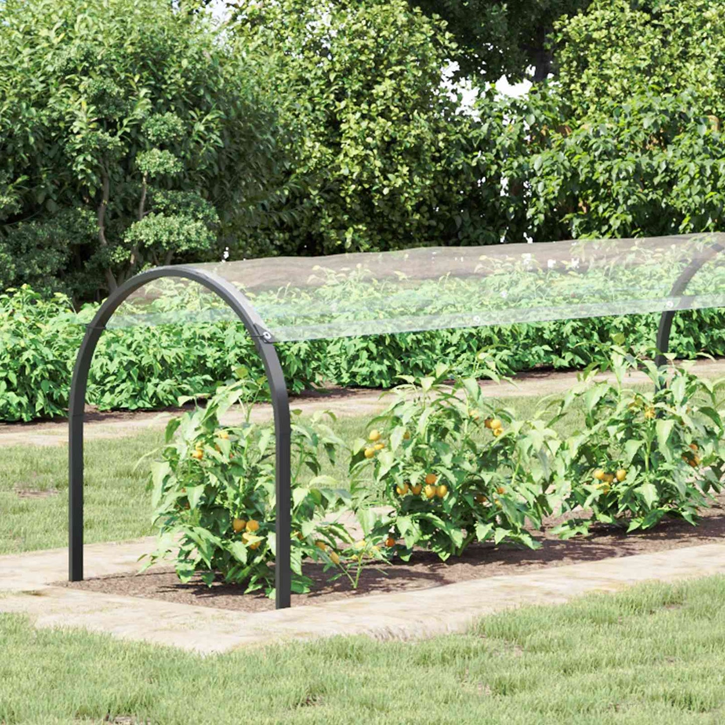 Növényfedező Átlátszó 1 x 12 m PVC