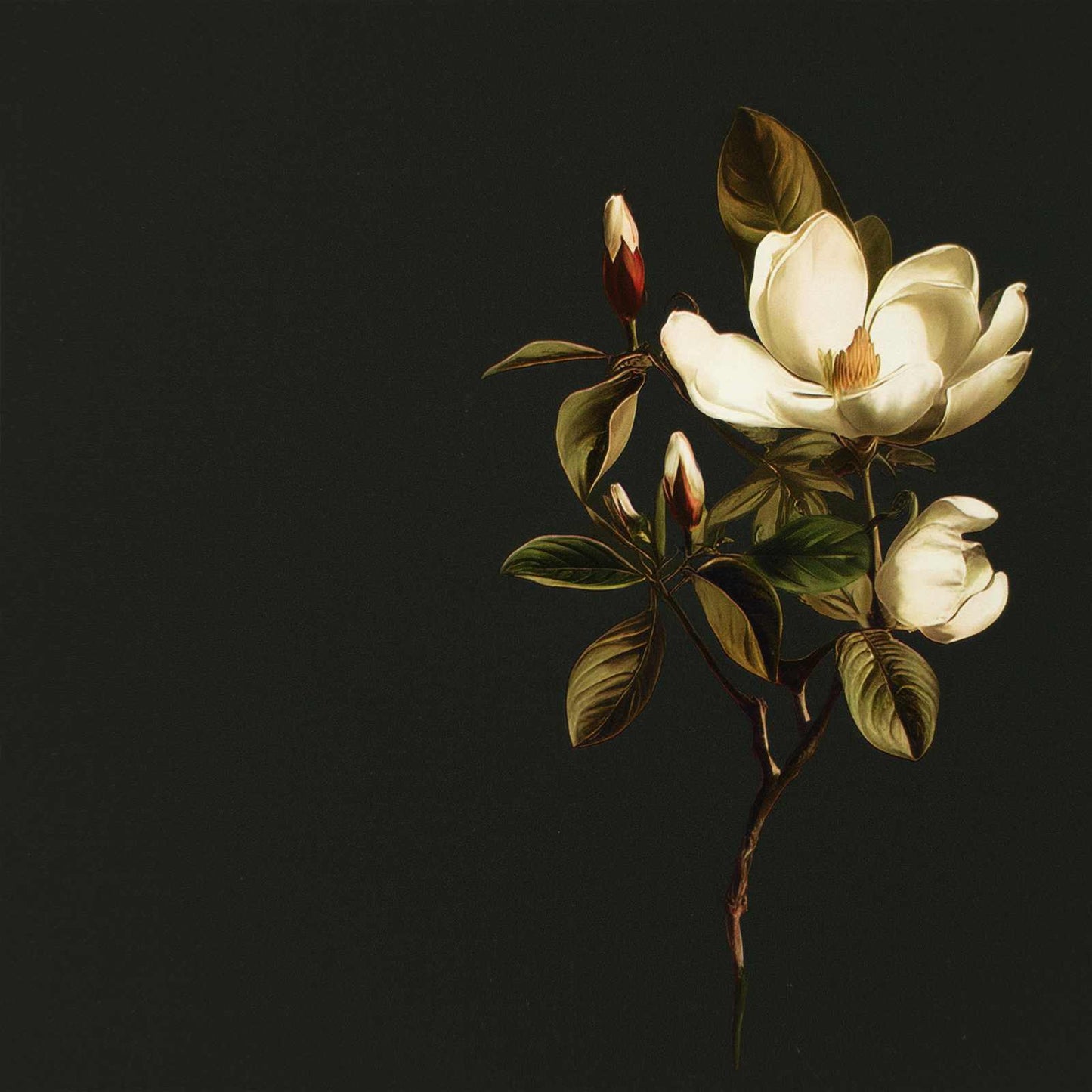 Fali éjjeli szekrény BREMEN 2 db Sonoma Tölgy 36 x 33 x 25 cm