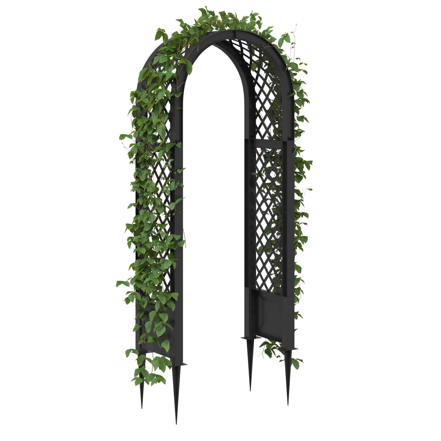 Rózsás Ív Tüskékkel Antracitszürke 97 x 43 x 218 cm PP