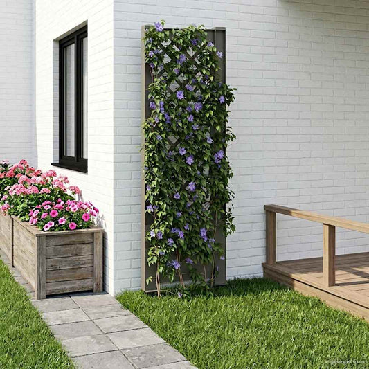 Trellis tüskével Szürke 43 x 6 x 165 cm PP