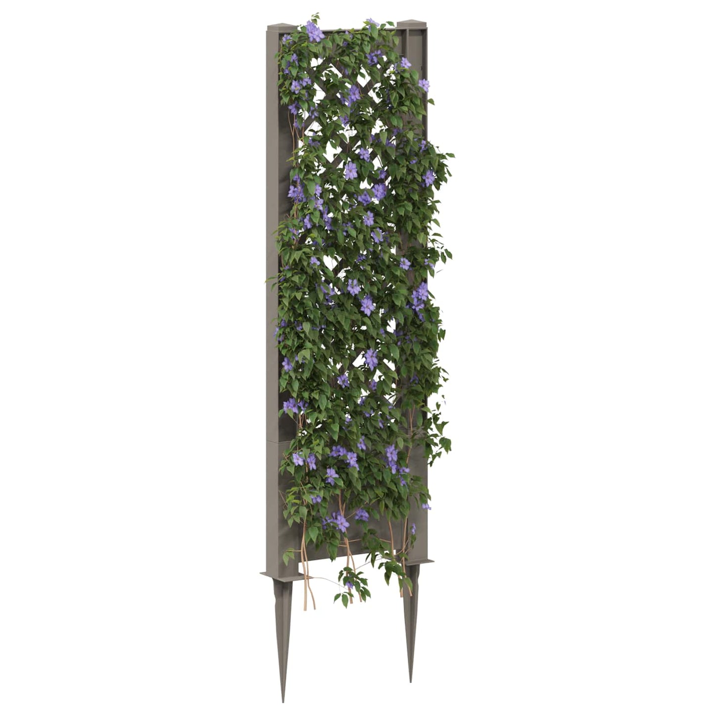 Trellis tüskével Szürke 43 x 6 x 165 cm PP