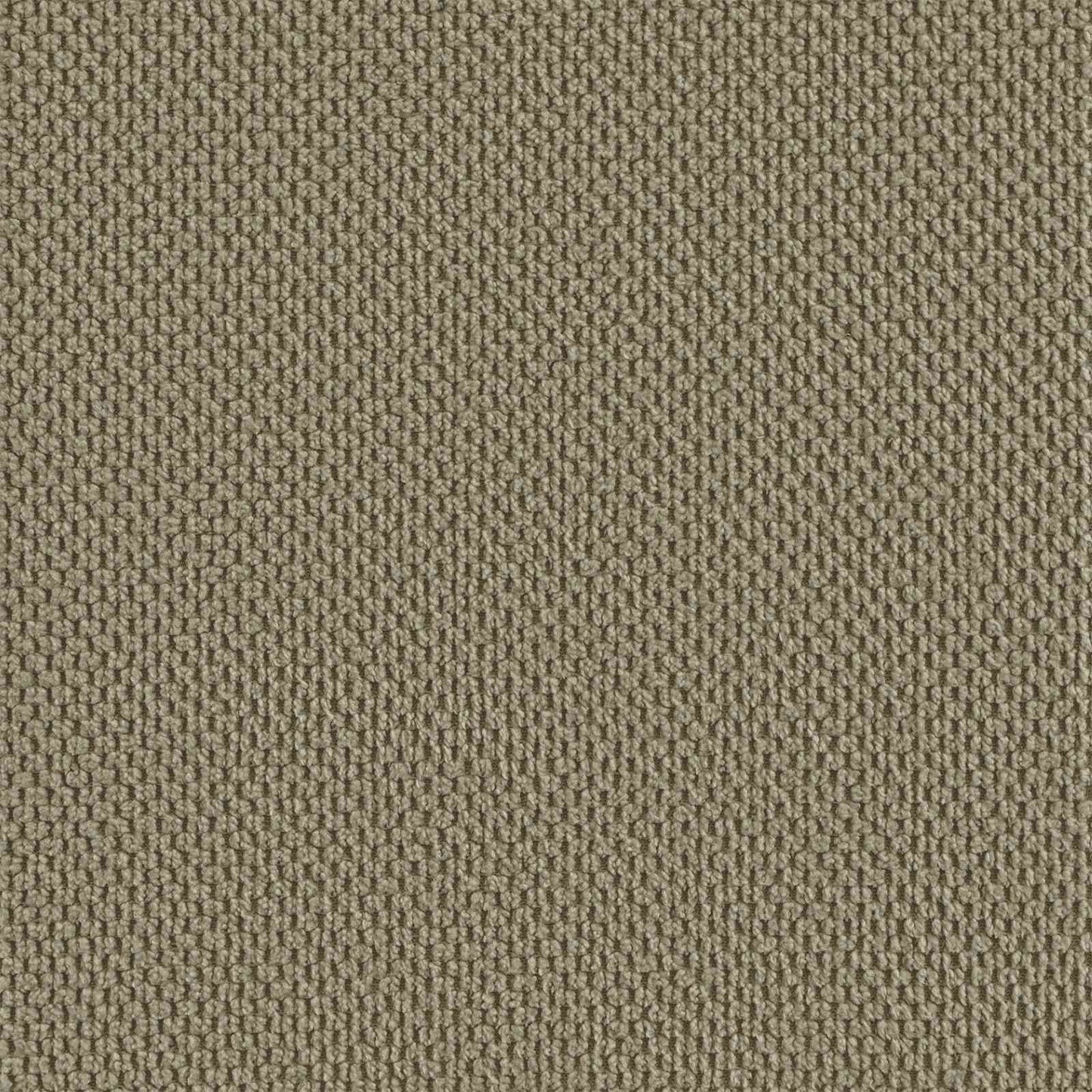 XL fotel Khaki Bársony
