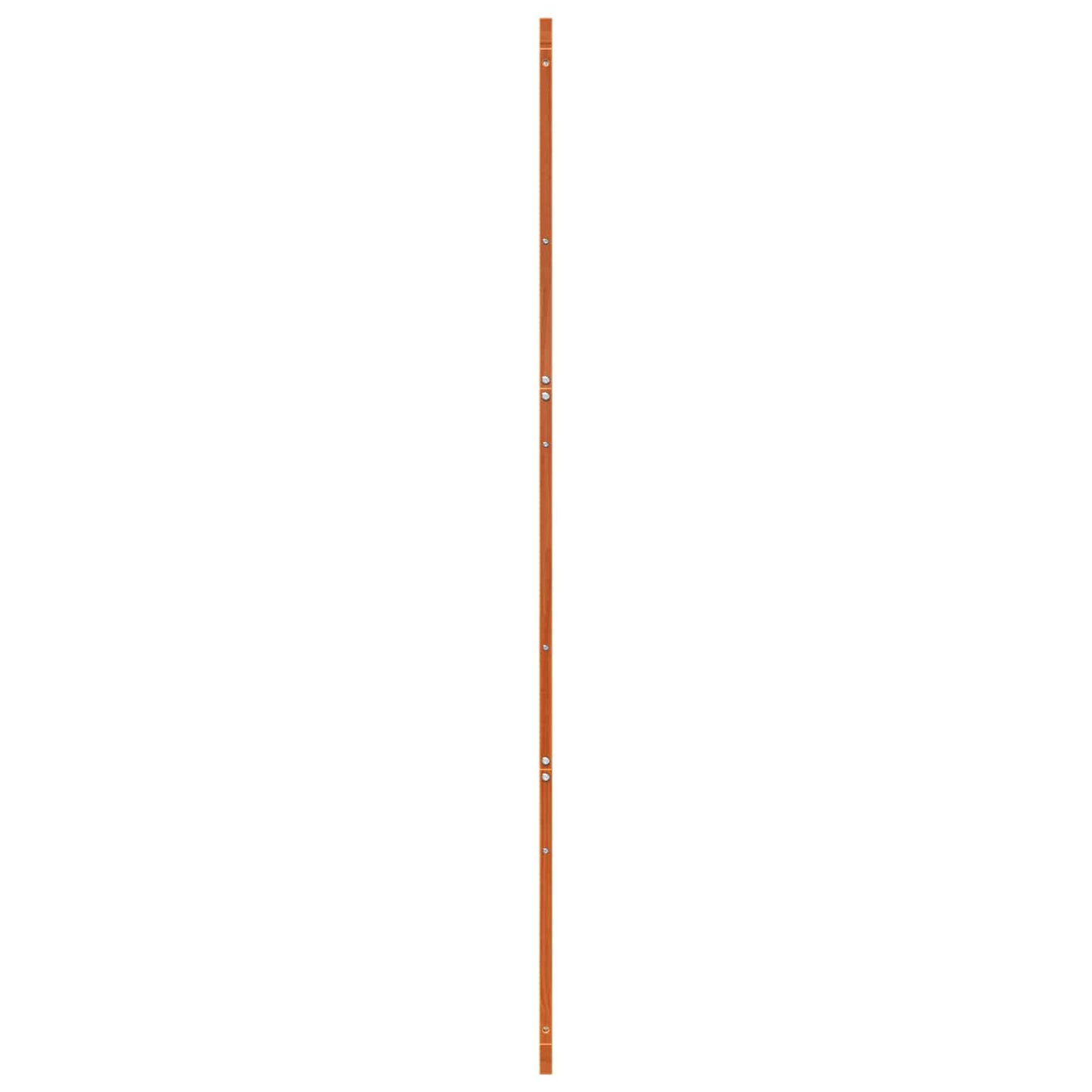 Istállóajtó Viaszbarna 100 x 2,5 x 208 cm Tömör Fenyőfa